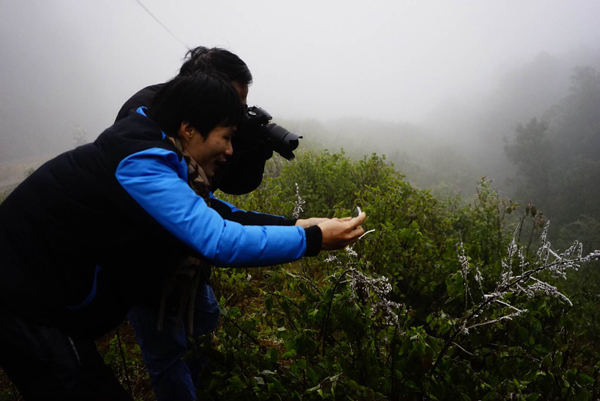 Chùm ảnh băng giá xuất hiện tại Sa Pa - ảnh 12