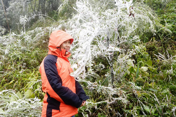 Chùm ảnh băng giá xuất hiện tại Sa Pa - ảnh 7