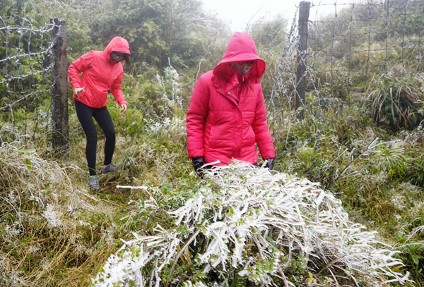 Chùm ảnh băng giá xuất hiện tại Sa Pa - ảnh 8