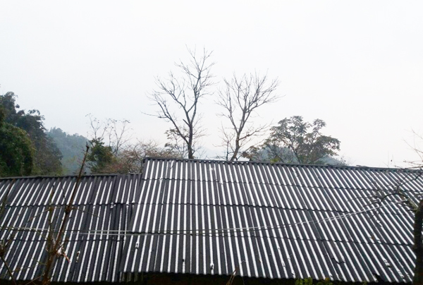 Lào Cai: Tuyết phủ trắng khắp nơi, có nơi dày 5cm - ảnh 20