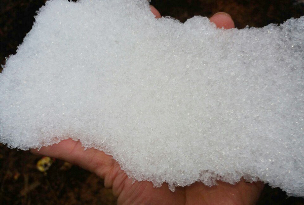 Lào Cai: Tuyết phủ trắng khắp nơi, có nơi dày 5cm - ảnh 22