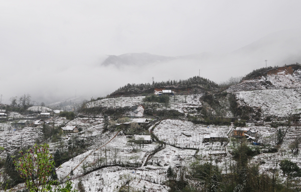 Lào Cai: Tuyết phủ trắng khắp nơi, có nơi dày 5cm - ảnh 4