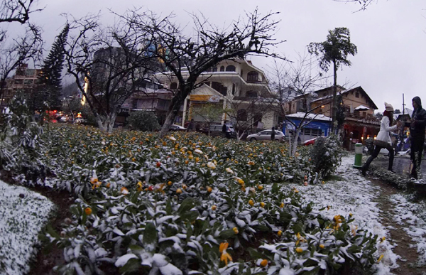 Lào Cai: Tuyết phủ trắng khắp nơi, có nơi dày 5cm - ảnh 5