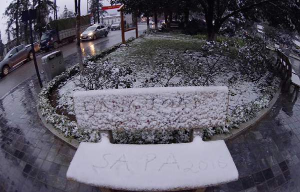 Lào Cai: Tuyết phủ trắng khắp nơi, có nơi dày 5cm - ảnh 7