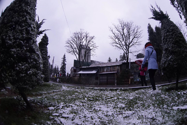 Lào Cai: Tuyết phủ trắng khắp nơi, có nơi dày 5cm - ảnh 9