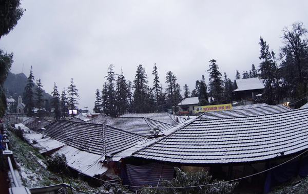 Lào Cai: Tuyết phủ trắng khắp nơi, có nơi dày 5cm - ảnh 10