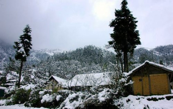 Lào Cai: Tuyết phủ trắng khắp nơi, có nơi dày 5cm - ảnh 14