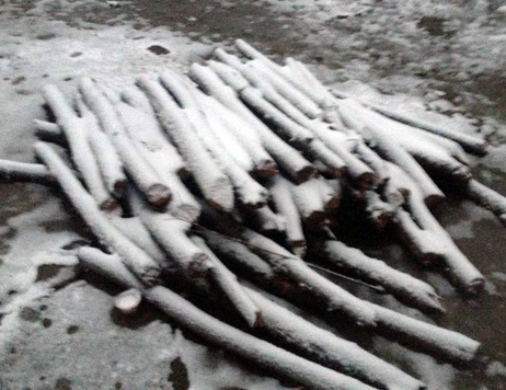 Lào Cai: Tuyết phủ trắng khắp nơi, có nơi dày 5cm - ảnh 15