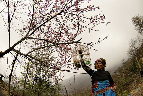 Lên vùng cao ngắm hoa đào nở muộn - ảnh 5