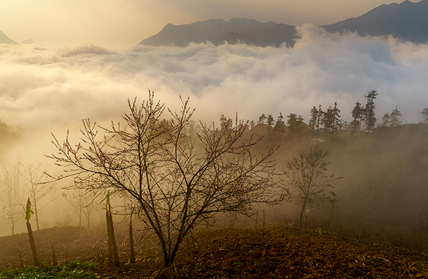 Lên vùng cao ngắm hoa đào nở muộn - ảnh 9