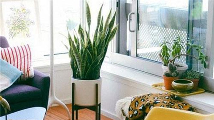 3 sai lầm phong thủy cuối năm khiến Thần Tài quay gót bỏ đi