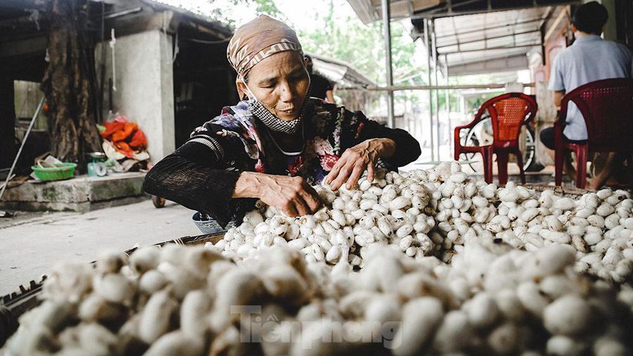 Làng tơ trăm tuổi trên đất Thành Nam