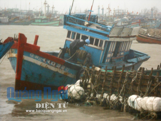 Hàng trăm tàu cá của ngư dân bị va đập và bị sóng biển nhần chìm.
