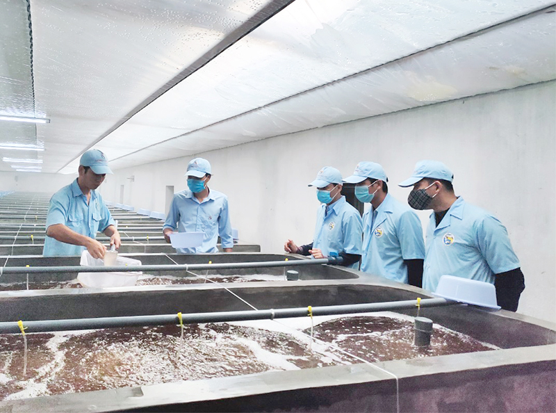 Mạnh dạn đầu tư vào nông nghiệp để thúc đẩy năng lực cạnh tranh