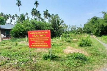 Tây Ninh: Vì đâu hồ sơ đất đai tăng đột biến?