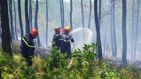 7 vụ cháy rừng xảy ra trong một ngày ở Thừa Thiên Huế