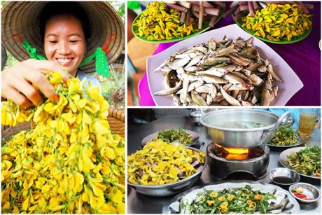 Về Đồng Tháp săn ếch đồng, chuột quay, tắc kè - ảnh 2
