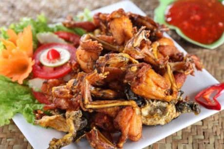 Về Đồng Tháp săn ếch đồng, chuột quay, tắc kè - ảnh 4