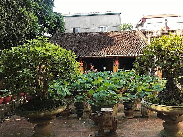 nha go co doc nhat bac bo bao quanh san la vuon sen thom ngat