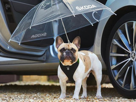 Nhìn lại những tin tức xe hơi “chém gió” khiến nhiều người bất ngờ - ảnh 4