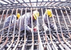 Steel industry expects consumption recovery by year-end