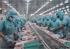 MoIT helps enterprises deal with increasing trade remedy cases