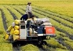 Challenges compel restructuring in agriculture