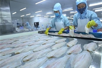 VN seafood exporters floundering due to COVID-19
