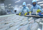 VN seafood exporters floundering due to COVID-19