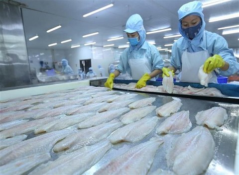VN seafood exporters floundering due to COVID-19