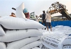 Trade Ministry proposes exporting 400,000 tonnes of rice in April