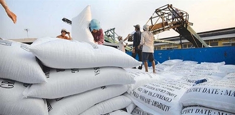 Trade Ministry proposes exporting 400,000 tonnes of rice in April