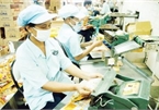 Vietnamese SMEs struggle to access credit support package