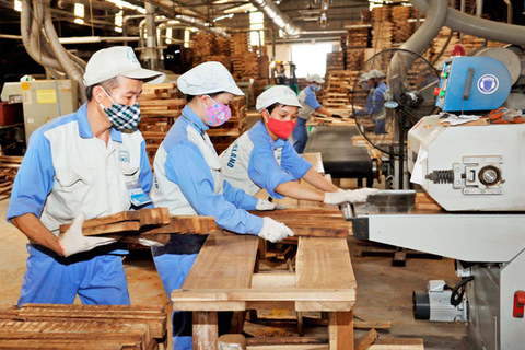 Vietnamese wood processing and export firms need to adapt during pandemic