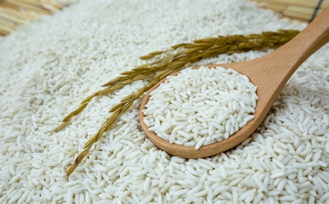 Long An Province asks Government to lift restrictions on sticky rice exports