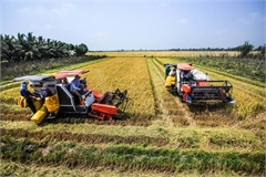 Agricultural land tax exemption policy proposed to be extended to 2025