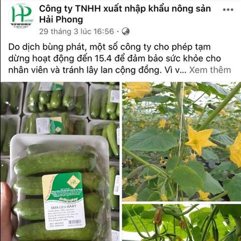 Agricultural firms and cooperatives start selling online amid pandemic