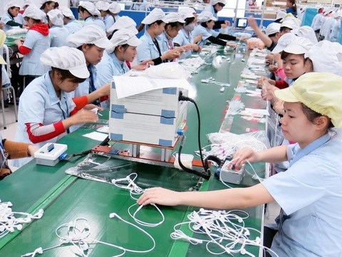 VN enterprises need protection from takeovers: experts