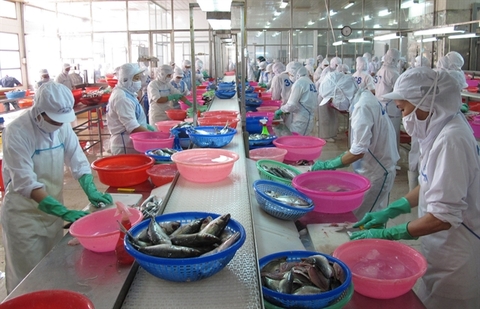 Vietnam to help local firms cope with trade remedies