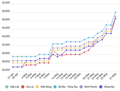 Vietnam domestic pepper prices hit one-year high