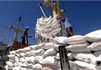 Vietnam to increase rice exports to EU under EVFTA