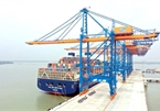 Shipping industry needs State support to develop: ministry