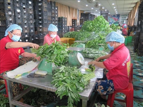 VIETNAM BUSINESS NEWS DECEMBER 2