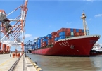 Higher shipping costs are here to stay despite exporter agony