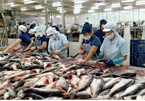 $149.4m program to sustain aquaculture in Mekong Delta