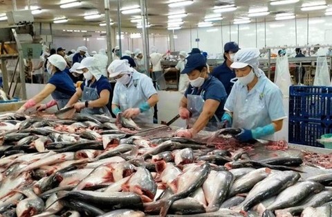 $149.4m program to sustain aquaculture in Mekong Delta