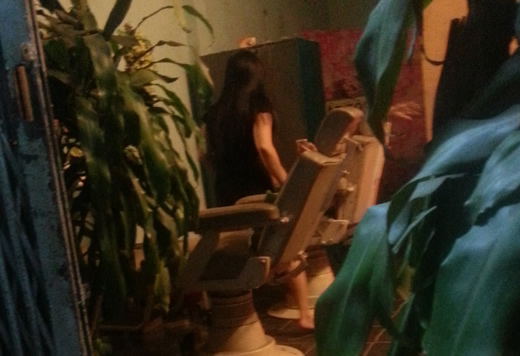 Muôn nẻo “đường hoa” (2): Sau tấm rèm thưa - ảnh 2