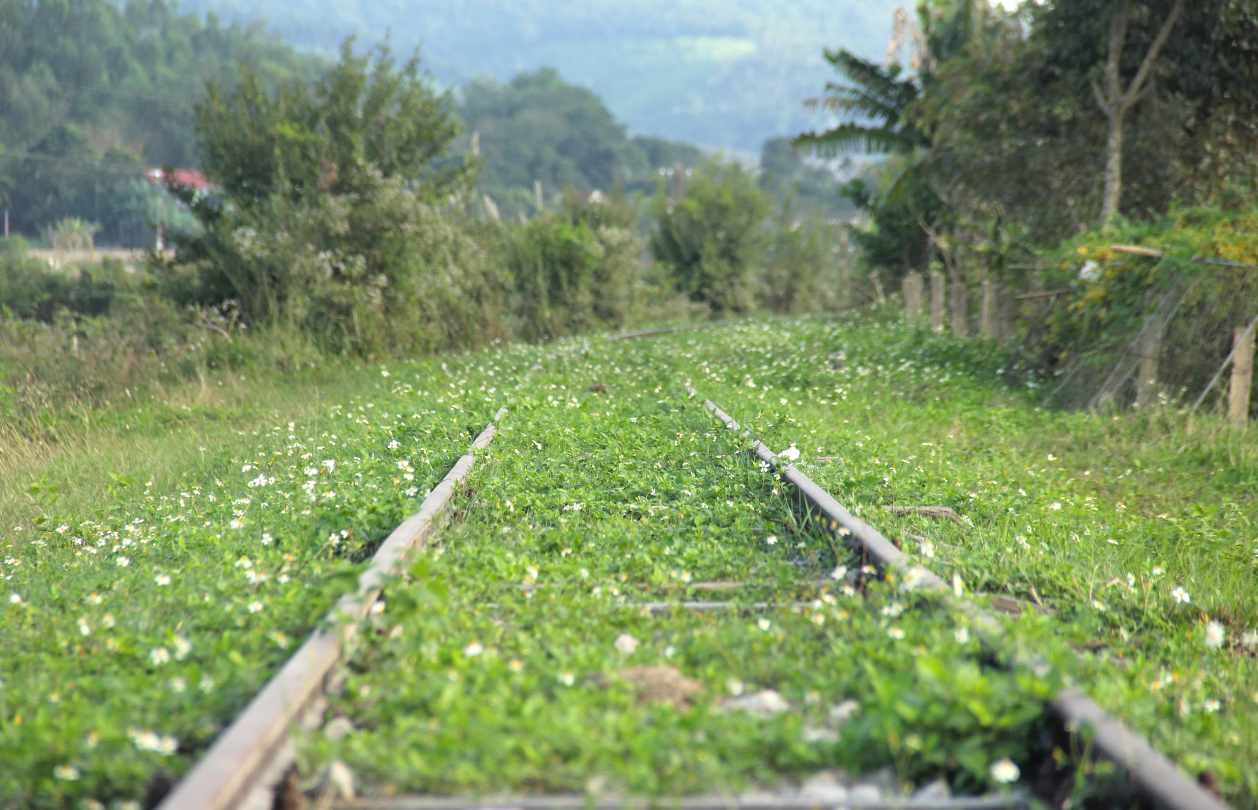 Tuyến đường sắt bị ‘bỏ quên’ gần thập kỷ không có tàu chạy nhưng vẫn tiêu tốn tiền tỷ bảo vệ - Ảnh 6.