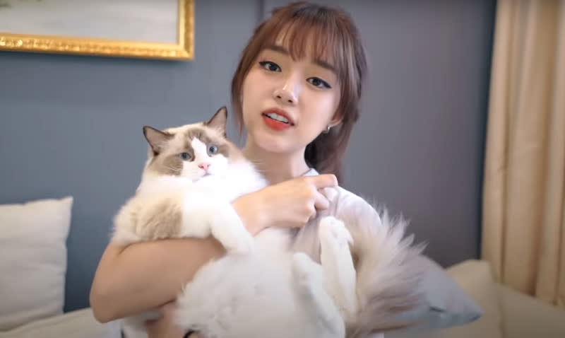 Streamer giàu có sở thích đốt tiền: Độ Mixi chơi mô hình tiền tỷ, Linh Ngọc Đàm nuôi mèo hàng trăm triệu đồng - Ảnh 11.