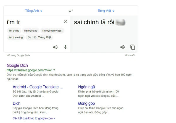 Từ nghi vấn Google Dịch bị hacker Việt tấn công đến hành động đáng lên án của nhiều người dùng Internet - Ảnh 3.